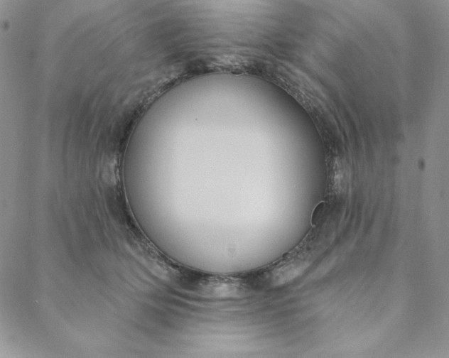 X0000088610514200706081437