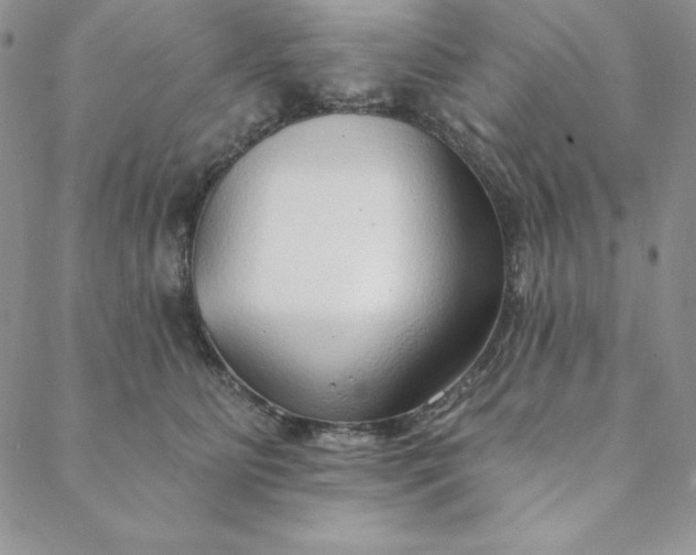 X0000088610515200706081437