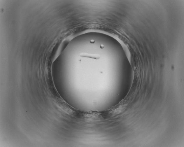 X0000088610516200706081437