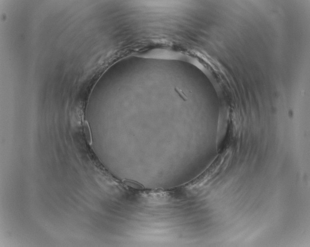 X0000088610517200706081437