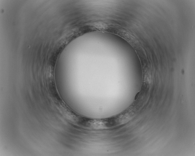 X0000088610518200706081437