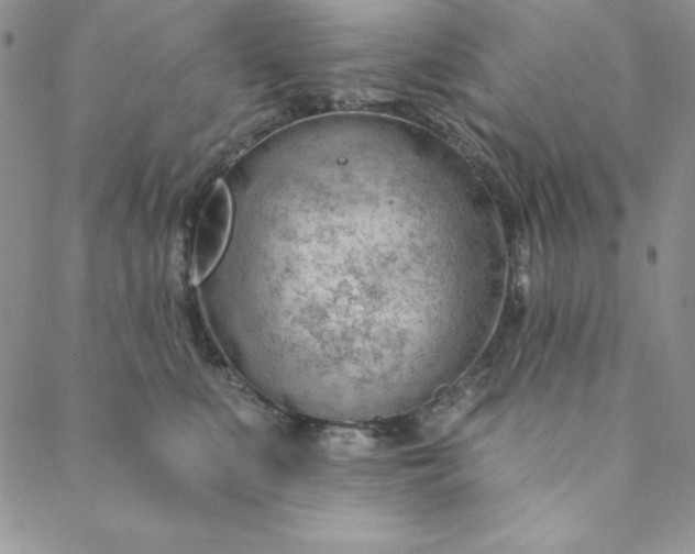 X0000088610519200706081437