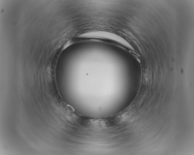 X0000088610520200706081437