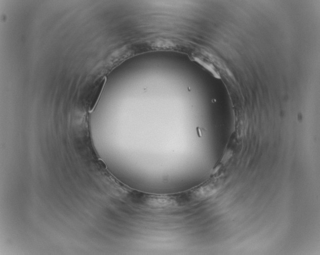 X0000088610521200706081437