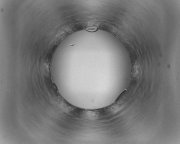 X0000088610522200706081437