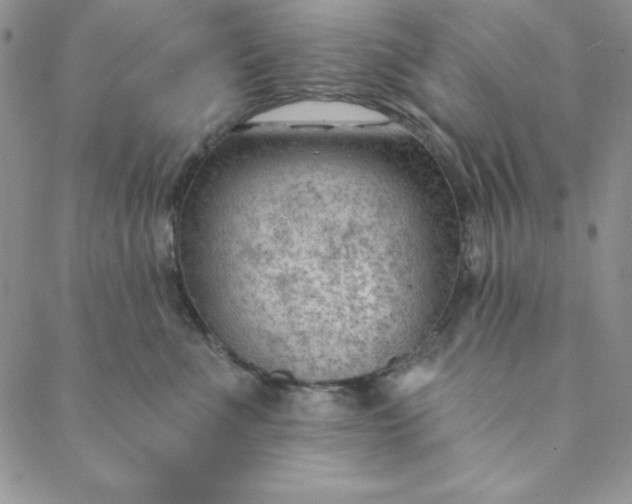 X0000088610523200706081437