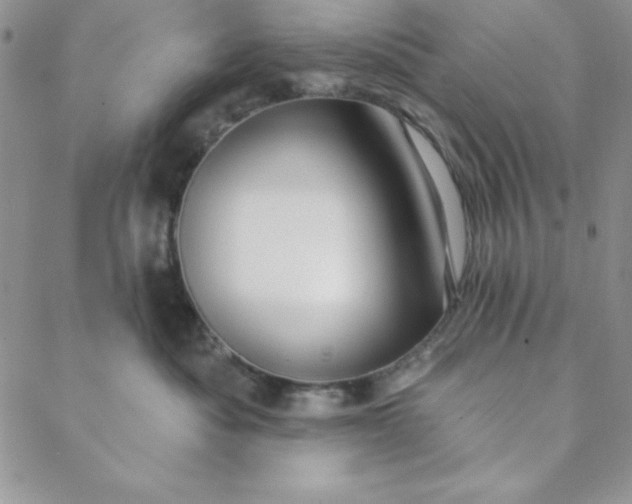 X0000088610525200706081437