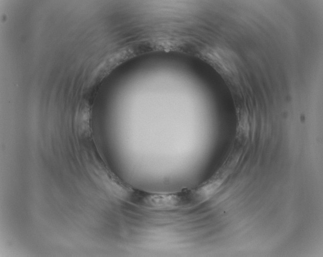 X0000088610526200706081437