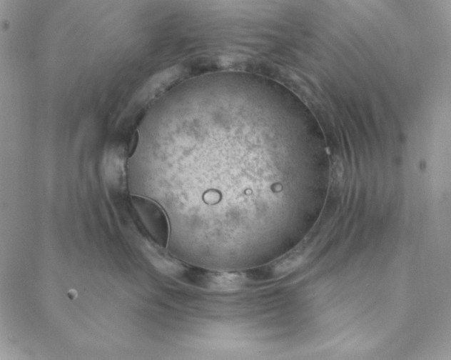 X0000088610527200706081437