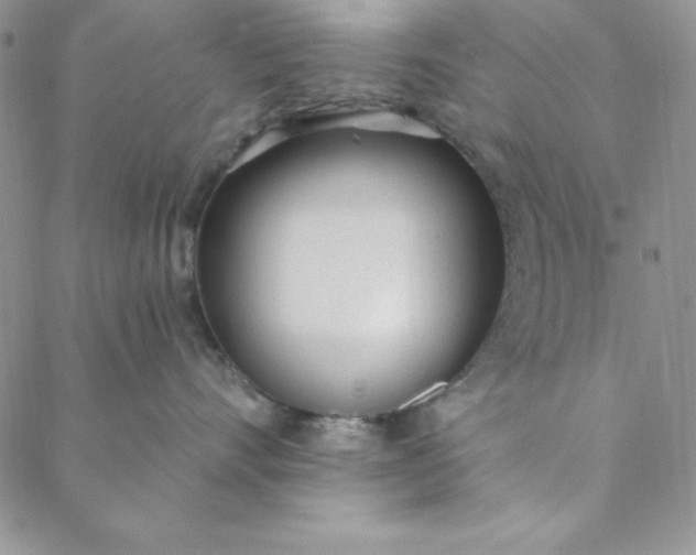 X0000088610528200706081437