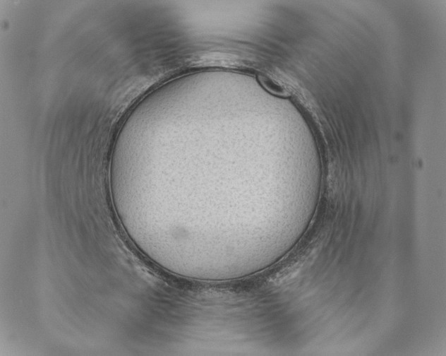 X0000088610529200706081436