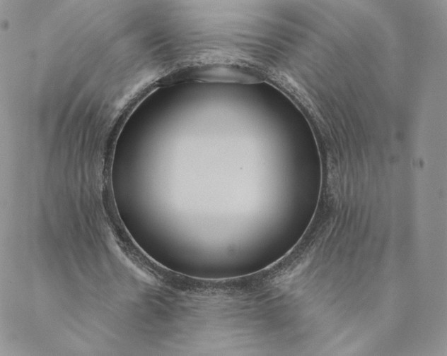 X0000088610530200706081436