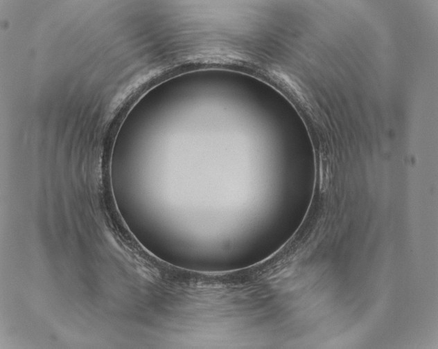 X0000088610531200706081436