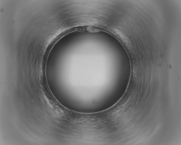 X0000088610532200706081436