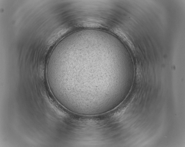 X0000088610533200706081436