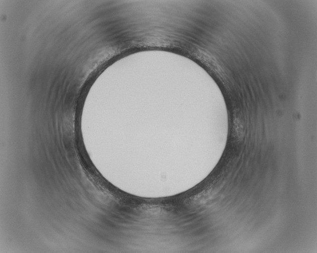 X0000088610534200706081436