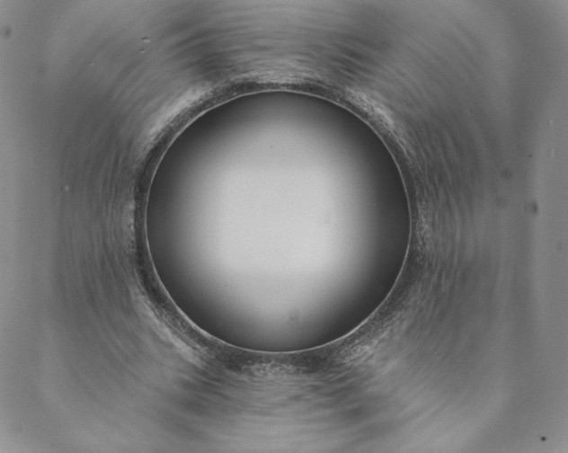 X0000088610535200706081436