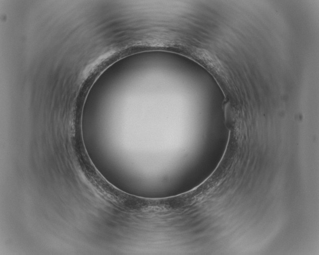 X0000088610536200706081436