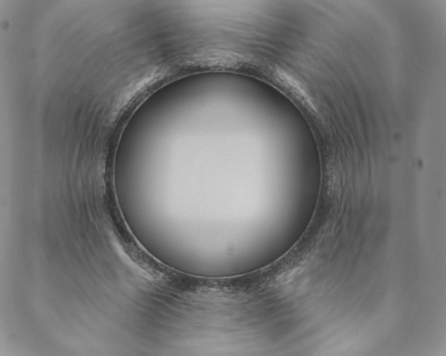 X0000088610538200706081436