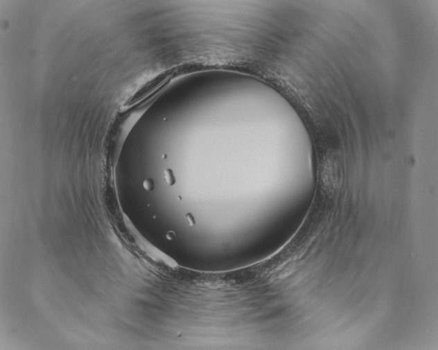 X0000088610540200706081437