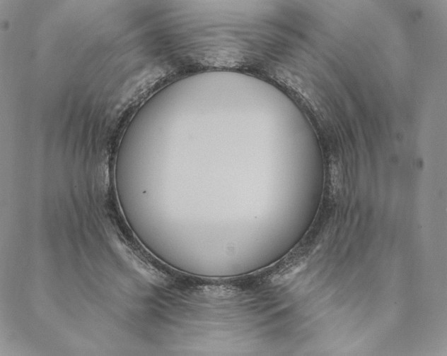 X0000088610541200706081437