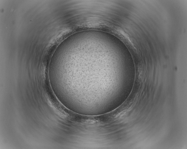 X0000088610542200706081437