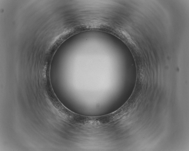 X0000088610543200706081437