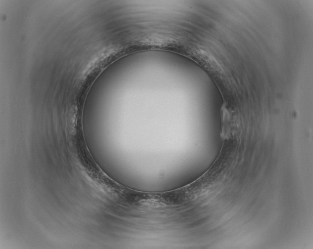 X0000088610544200706081437