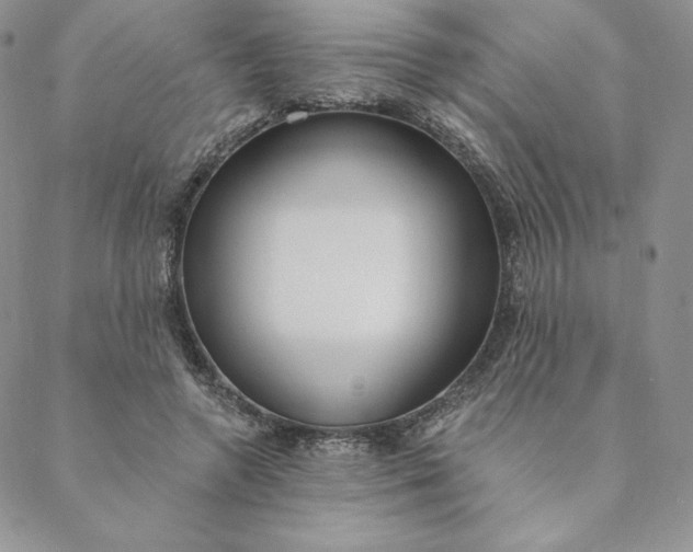 X0000088610546200706081437