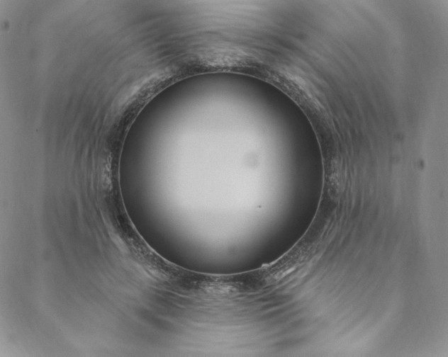 X0000088610547200706081437