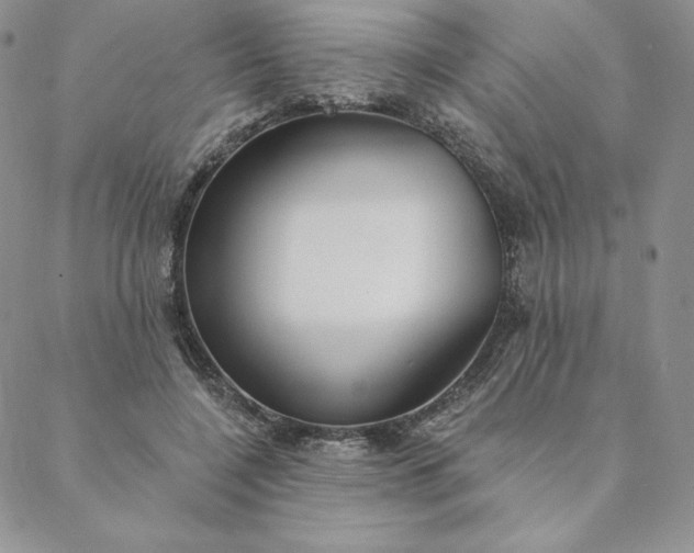 X0000088610548200706081437