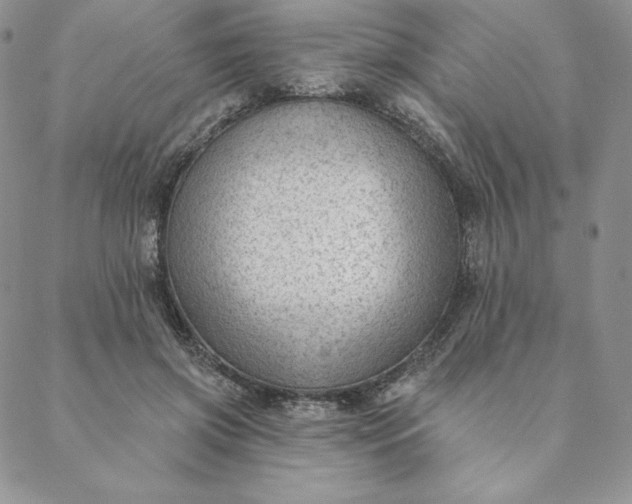 X0000088610549200706081437