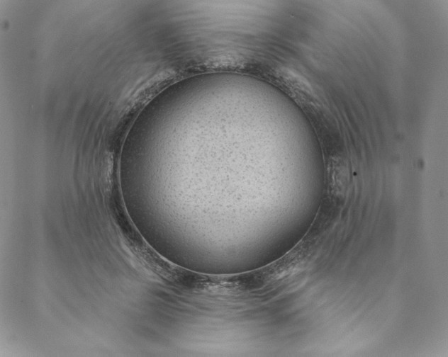 X0000088610550200706081437