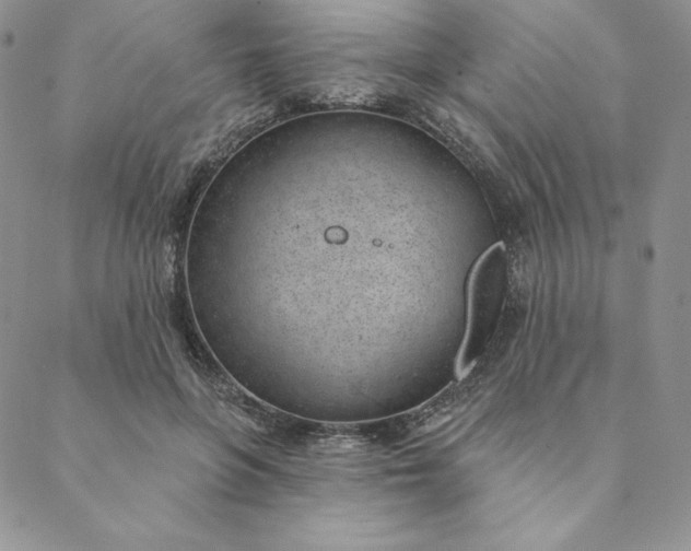 X0000088610551200706081437