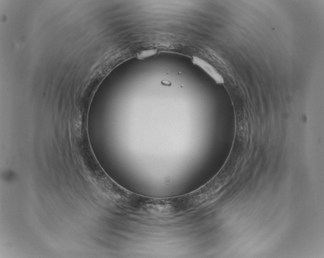 X0000088610552200706081437