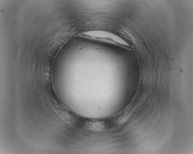 X0000088610553200706081437