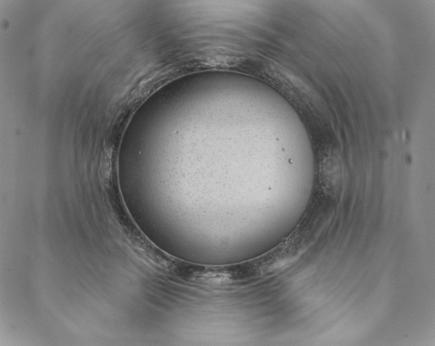 X0000088610554200706081437