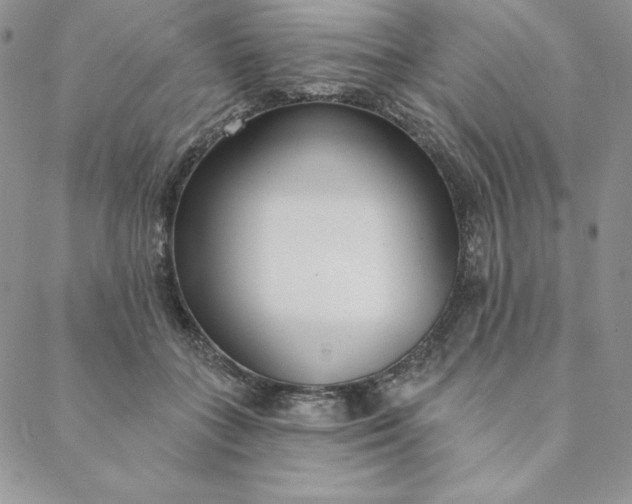 X0000088610555200706081437