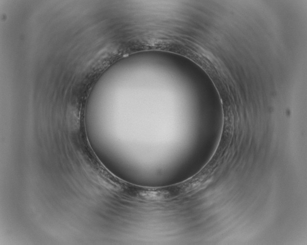 X0000088610558200706081437