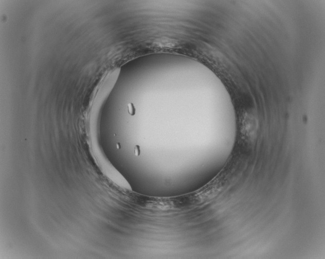 X0000088610559200706081437