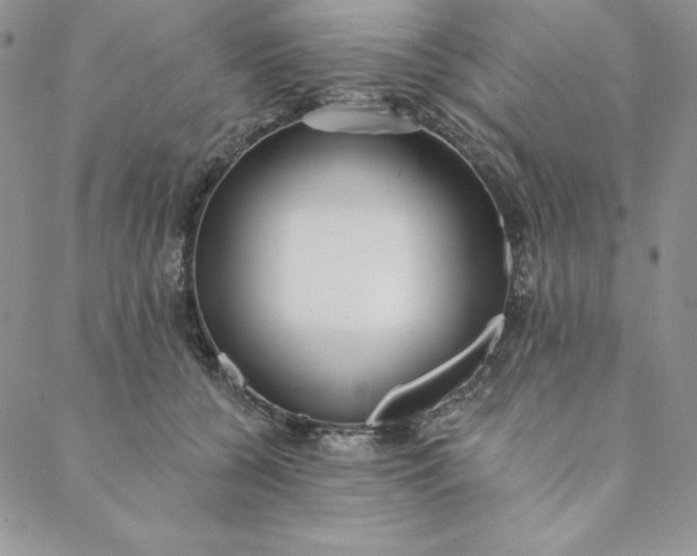 X0000088610560200706081437