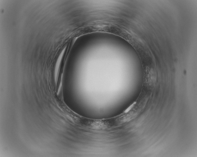 X0000088610562200706081437