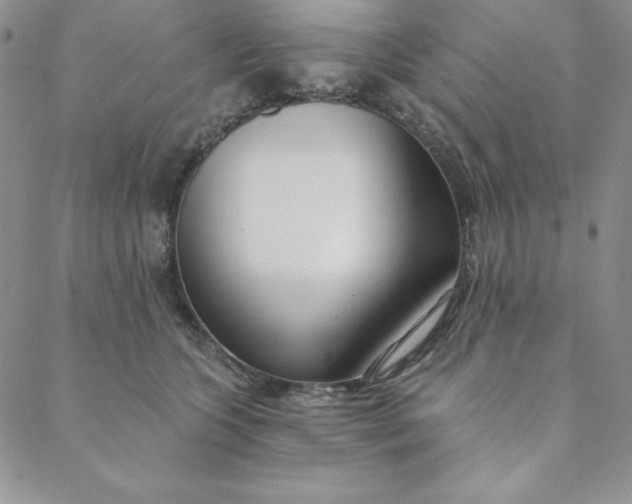 X0000088610563200706081437