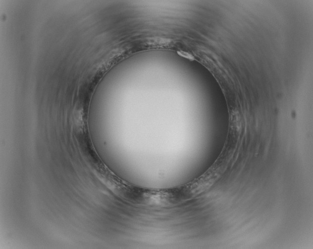 X0000088610564200706081437