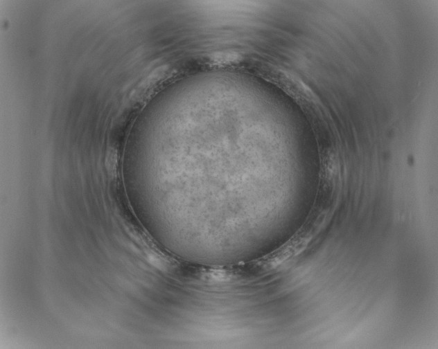 X0000088610565200706081437