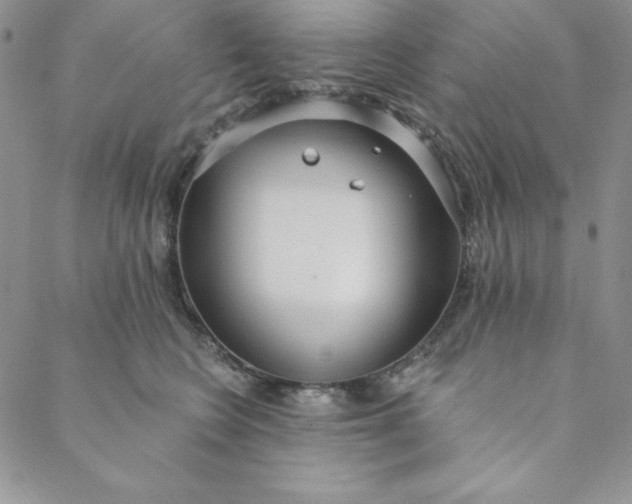 X0000088610566200706081437