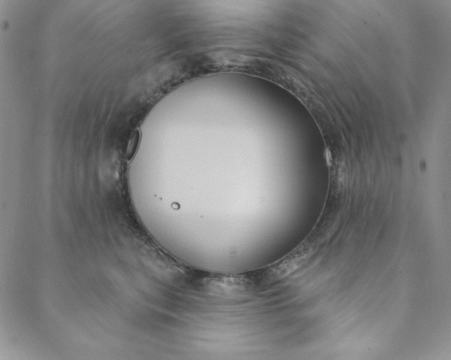 X0000088610567200706081437