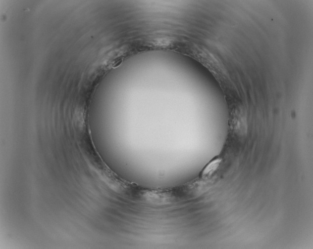 X0000088610568200706081437