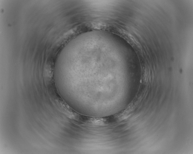 X0000088610569200706081437