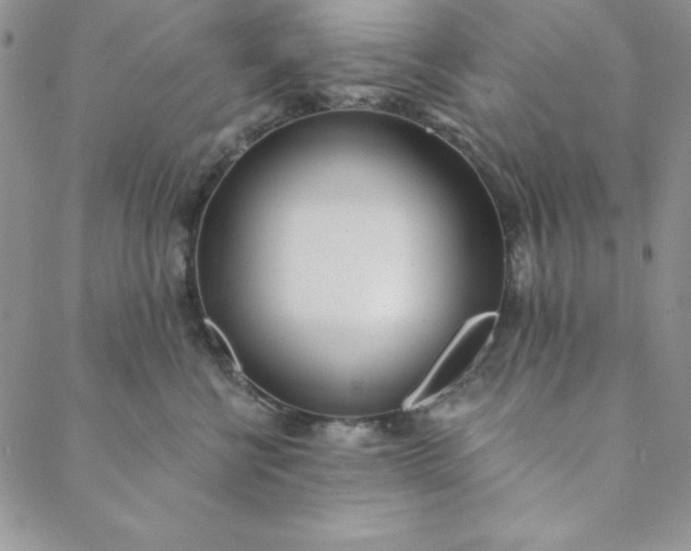 X0000088610570200706081437